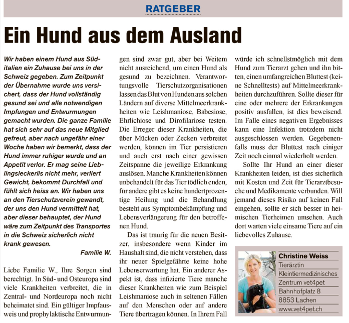 hund-ausland