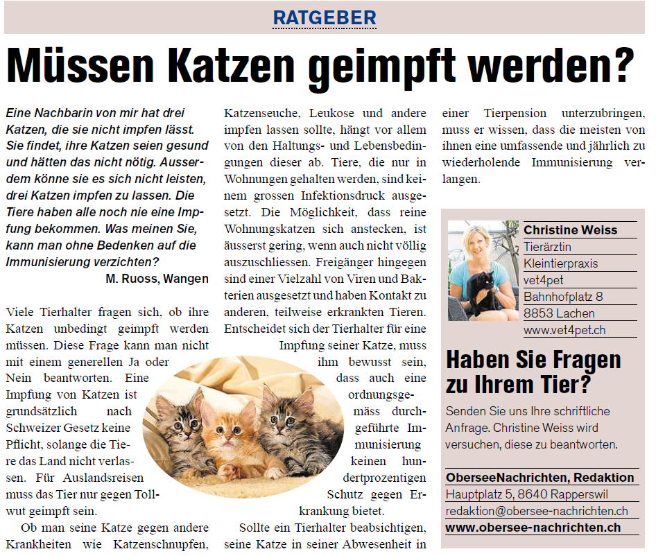 mssen-katzen-geimpft-werden